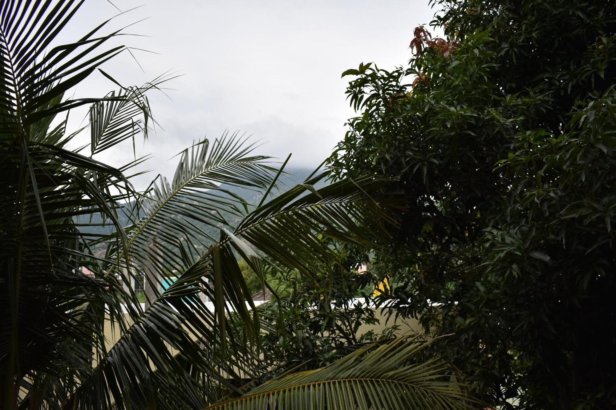 Tiruvannāmalai Rainbow Guest House מראה חיצוני תמונה