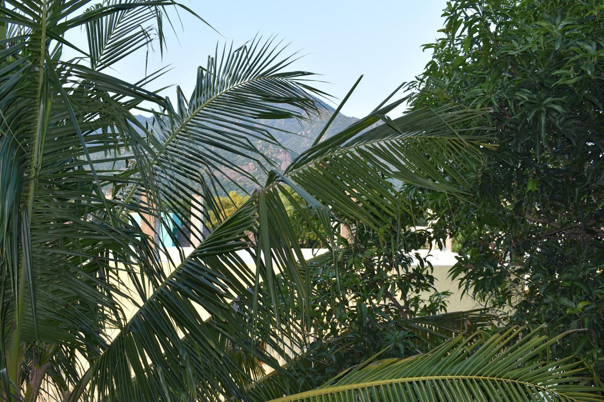 Tiruvannāmalai Rainbow Guest House מראה חיצוני תמונה
